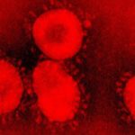Coronavirus. Banderas rojas contra el virus del capitalismo