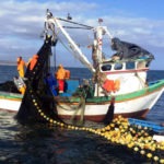 Chile. Pescadores artesanales: “Necesitamos el apoyo urgente del gobierno, la crisis que viene es dramática”