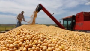 Argentina. Los grandes productores sojeros se lanzan contra el gobierno