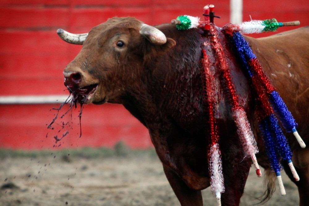 El gobierno se compromete con ganaderos, toreros, picadores… a apoyar la tauromaquia – La otra Andalucía