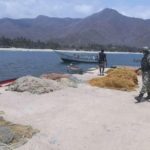 Venezuela. Pescadores de Chuao cantan y bailan su victoria antiimperialista (video)