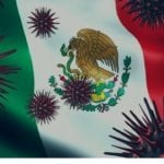 México. La pandemia y los derechos sociales