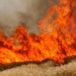 Siria. Helicópteros de EEUU queman 20 hectáreas de trigo