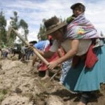 Perú. Sector agrario: Bono universal debe incluir a familias campesinas