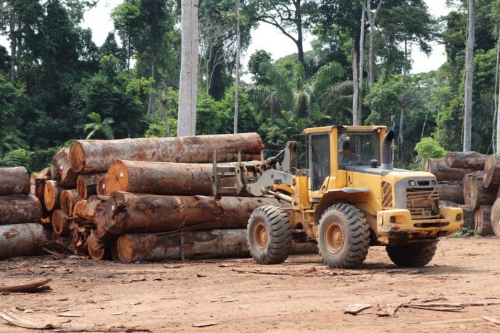La deforestación en la Amazonía en abril de 2020 es la más alta registrada en diez años. – La otra Andalucía