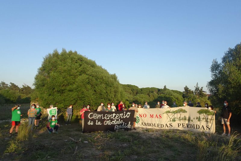 Pretenden construir 1.260 viviendas en uno de los mejores bosques de la Bahía de Cádiz – La otra Andalucía