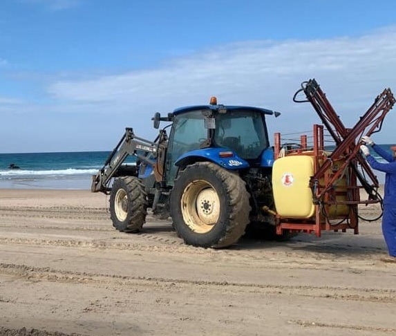 Advierten que la orden de la Junta (PP-C’s-Vox) de limpiar las playas con lejía es inútil y peligrosa para el medio ambiente