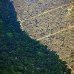 Brasil. La degradación ambiental es el tema del Foro Popular de la Naturaleza que comienza este lunes