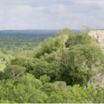 México. Comunidad en la Selva Maya obtiene certificado por conservar la biodiversidad
