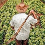Brasil. MST presenta plan de Reforma Agraria Popular para superar crisis social y económica