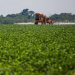 Brasil. Empresas alemanas se enriquecen con la venta de pesticidas prohibidos en Europa