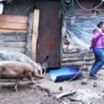 Nacion Mapuche. Bariloche: La historia de la Lof José Celestino Quijada