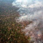 Brasil. Período de incendios en Amazonía coincidirá con pico de pandemia, alerta especialista