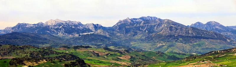 La Junta (PP-C’s-Vox) impone como presidente del Parque Natural Sierra de Grazalema a un dirigente de ASAJA – La otra Andalucía
