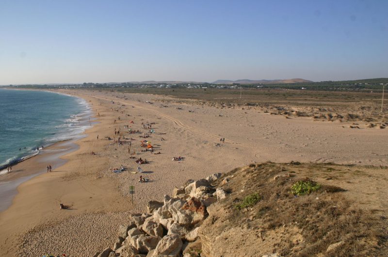 Piden anular el informe ambiental favorable a la urbanización del Pinar de Barbate y de Trafalgar – La otra Andalucía
