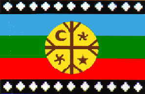 Nación Mapuche. Comuneros cortan ruta de acceso al Lago Mascardi: se solidarizan con el Machi Celestino Córdova y demás presos políticos mapuche