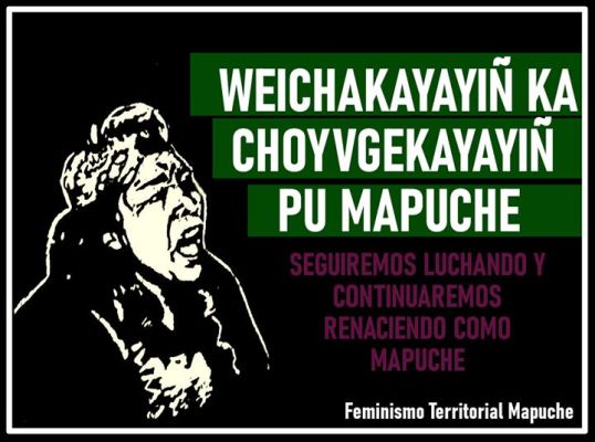 Nación Mapuche. Feminismo Territorial Mapuche: repudio al accionar represivo