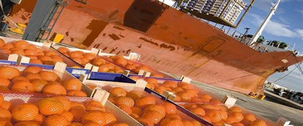 Estados Español. Rechaza naranjas importadas de Argentina por residuos de pesticidas
