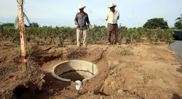 México. Sembradores de agua, zapotecas que con organización vencen la sequía, reviven sus campos y enfrentan la pandemia