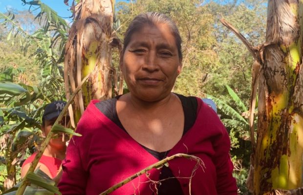 Nicaragua. Asociación de Trabajadores del Campo: comemos lo que cultivamos