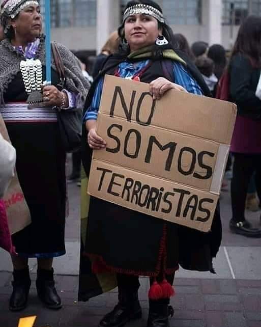 La imagen puede contener: 1 persona, de pie, texto que dice "NO SOMOS TERRORISTAS TAS"