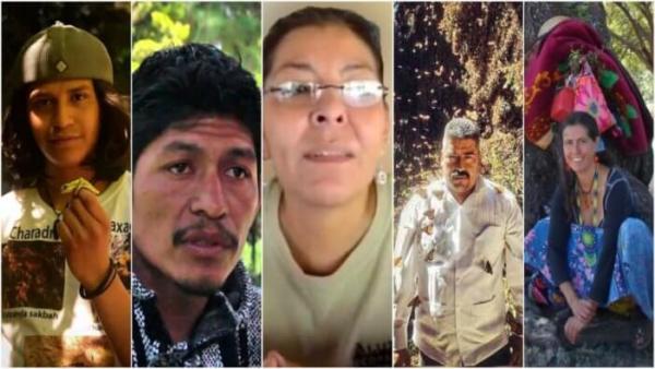 México. Con 25 asesinatos de ambientalistas AMLO llama «pseudoecologistas» a opositores de megaproyectos