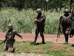 Paraguay. Una célula del ejército, detrás de las muerte de dos niñas argentinas