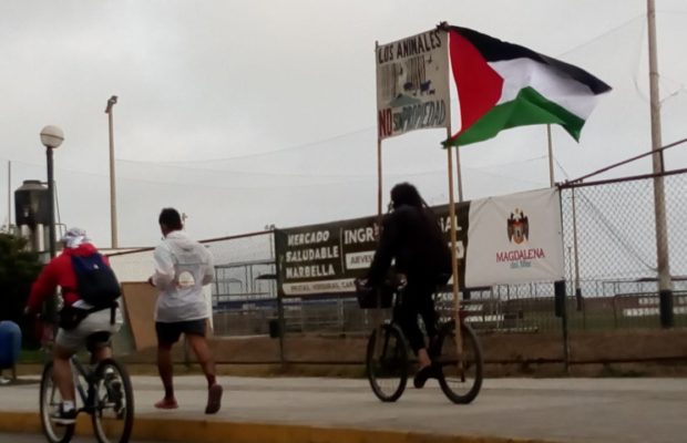 Perú. Un joven maratonista  recorrerá 1500 km llevando la bandera palestina en solidaridad con la lucha de ese pueblo