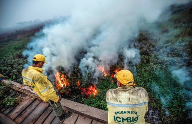 Brasil. El Pantanal sufre la mayor cantidad de incendios de su historia