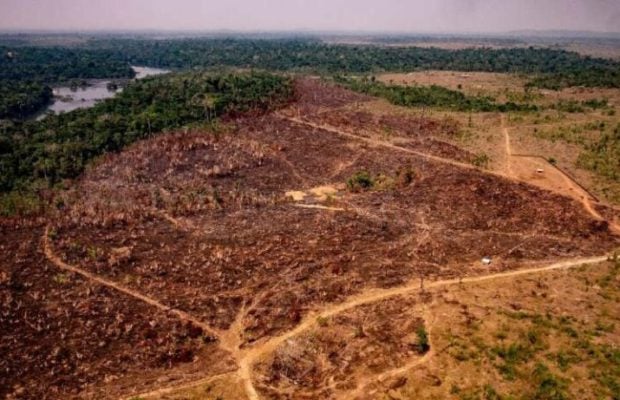 Brasil. ¿Dejará Bolsonaro algún bosque en la Amazonía?