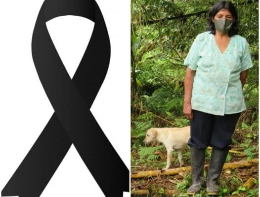 Colombia. Otra lidereza indígena asesinada