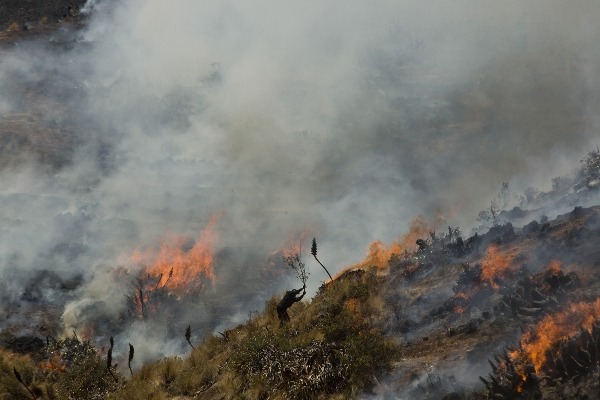 Perú. El fuego de muerte y destrucción en los bosques