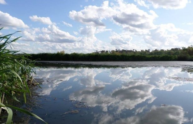 Argentina. El Estado nacional cedió a Racing Club 32 hectáreas del humedal y Reserva Natural Laguna de Rocha