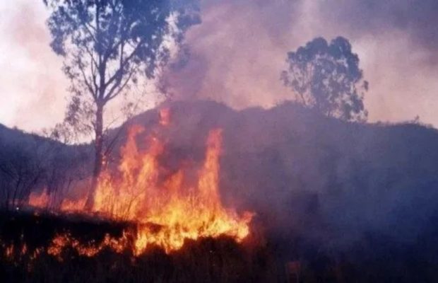 Argentina. Más de 18 mil hectáreas de yungas jujeñas arrasadas por el fuego