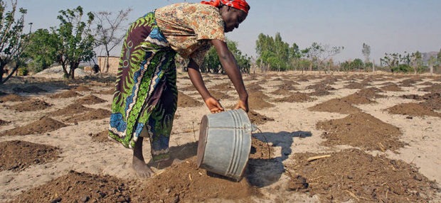 Ecología Social. Aumenta amenaza del cambio climático sobre África