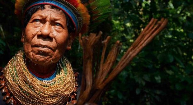 Colombia. Medicina ancestral: una forma de resistir al conflicto armado en el Pacífico