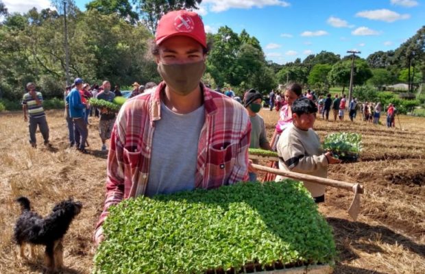 Brasil. Con apoyo del MST, la comunidad urbana inicia un huerto agroecológico en el gran Curitiba