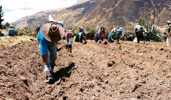 Perú. Contrabando detrás de la mascarilla