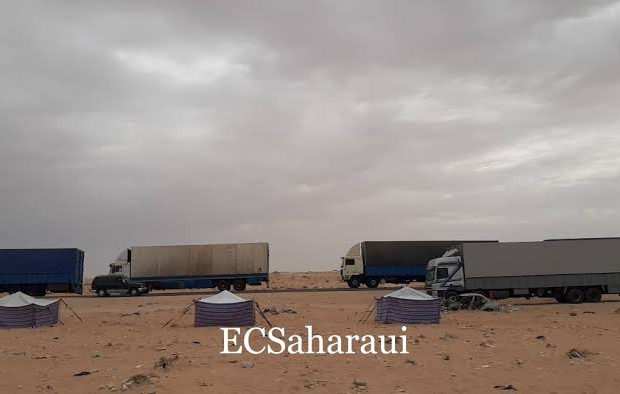 Sahara Occidental.                  El montaje favorito del Majzén; El Sáhara y la inmigración.