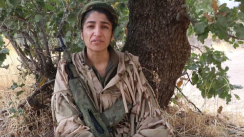 Kurdistán. Guerrillera Serhildan: El estado turco no detendrá a las guerrillas