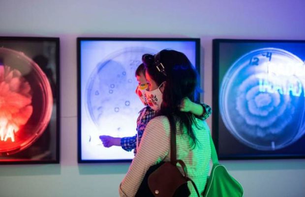 Chile. Evento de artes visuales expone obras de mujeres latinoamericanas