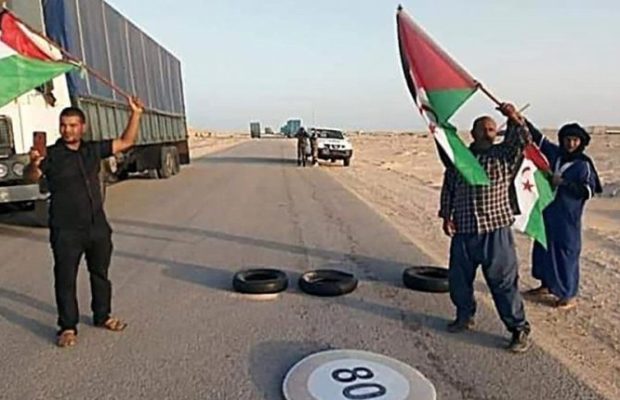 Sahara Occidental: Habla el representante saharaui para América Latina, Mohamed Ali Muley Ahmed: «La guerra va a parar cuando el pueblo saharaui logre su independencia»