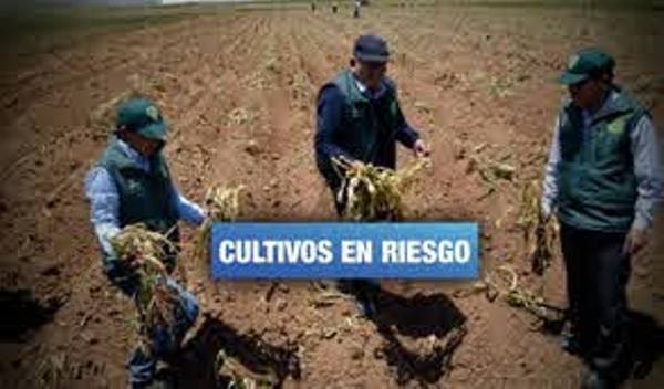 Perú. Declaran en emergencia a 181 distritos del norte peruano por falta de agua