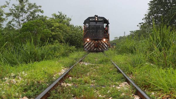 México. Comunidades obtienen suspensión definitiva del tramo 2 del Tren Maya