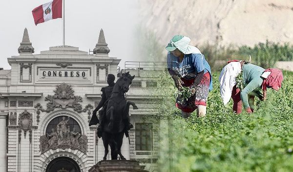 Perú. Congreso debate dictamen sobre nueva Ley Agraria