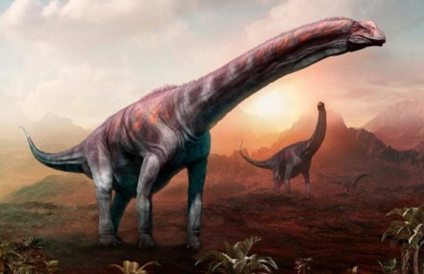 Argentina. Fósiles de dinosaurios encontrados pertenecerían a la criatura más grande de la historia de la Tierra