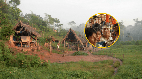 Perú. ¡Alerta!: 15 líderes amazónicos están amenazados y sin protección