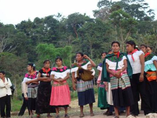 México. Chiapas: Pueblo maya tseltal emprende batalla legal contra la militarización de su territorio
