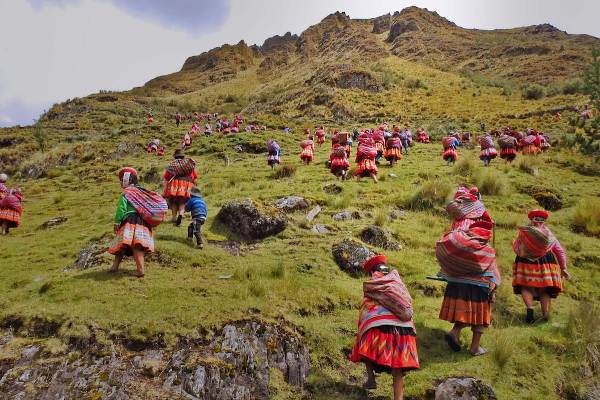 Perú. Las comunidades indígenas están reforestando los Andes