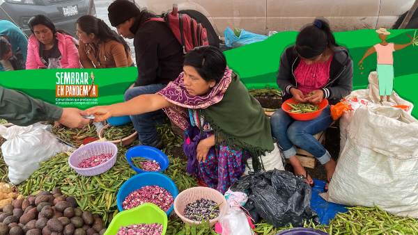 México. La campesina, vía para sostener la vida ante pandemias y otras amenazas